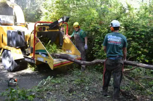 tree services Magnet Cove